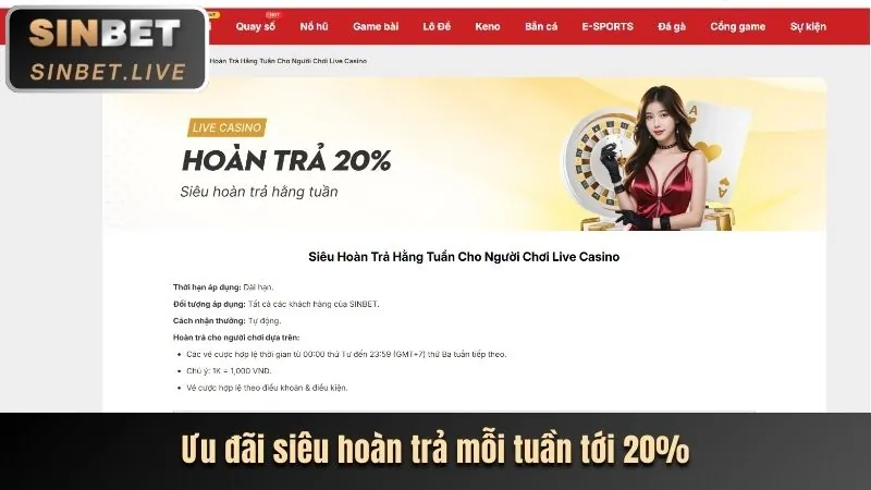 Các chương trình khuyến mãi cho thành viên mới 8qbet